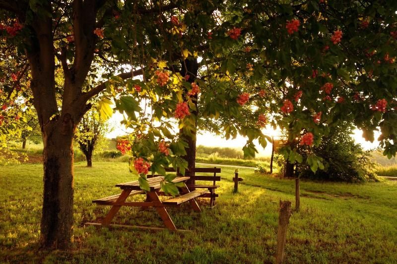 Cascina Alberta