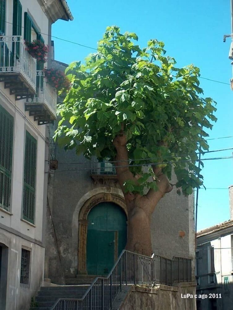 La Casetta Di Renato