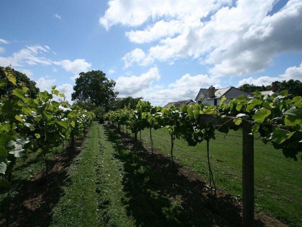 Jabajak Vineyard Restaurant with Rooms