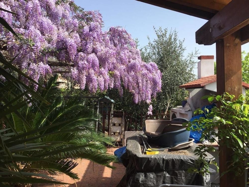 Bed And Breakfast La Gatta E IL Glicine
