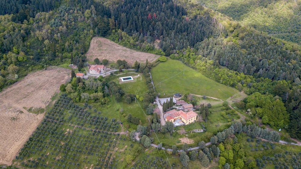 Fattoria Di Cintoia