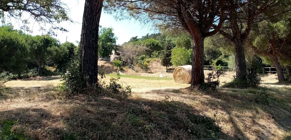 Fattoria Di Cintoia