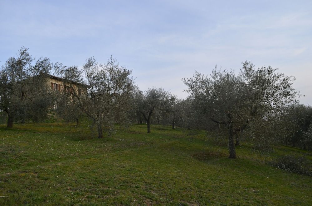 Campogrande B&B