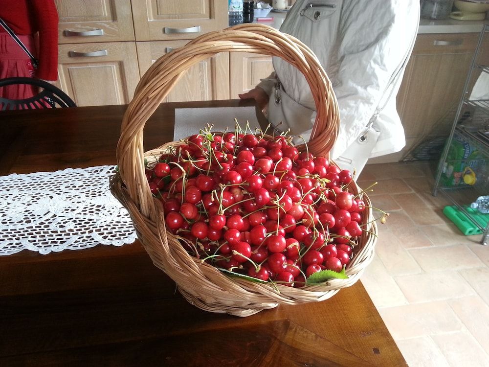 Campogrande B&B