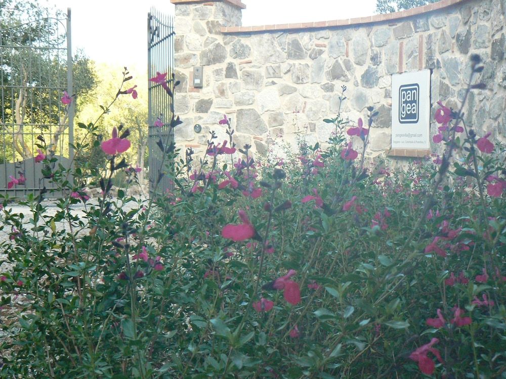 Pangea Villa Rooms