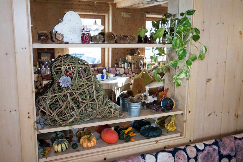 Camino Rustic Chic Hotel