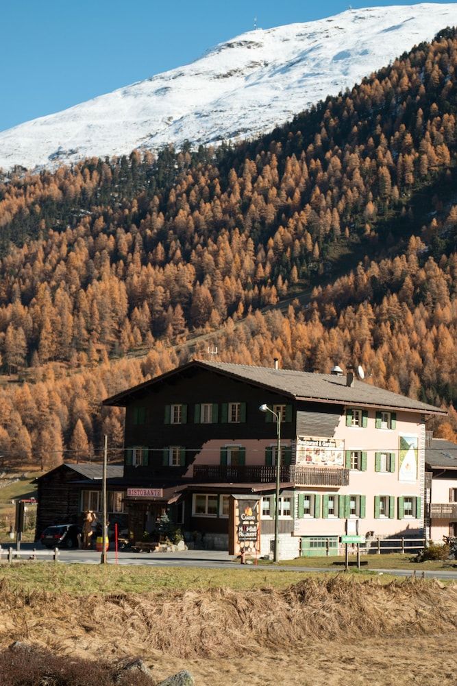 Camino Rustic Chic Hotel