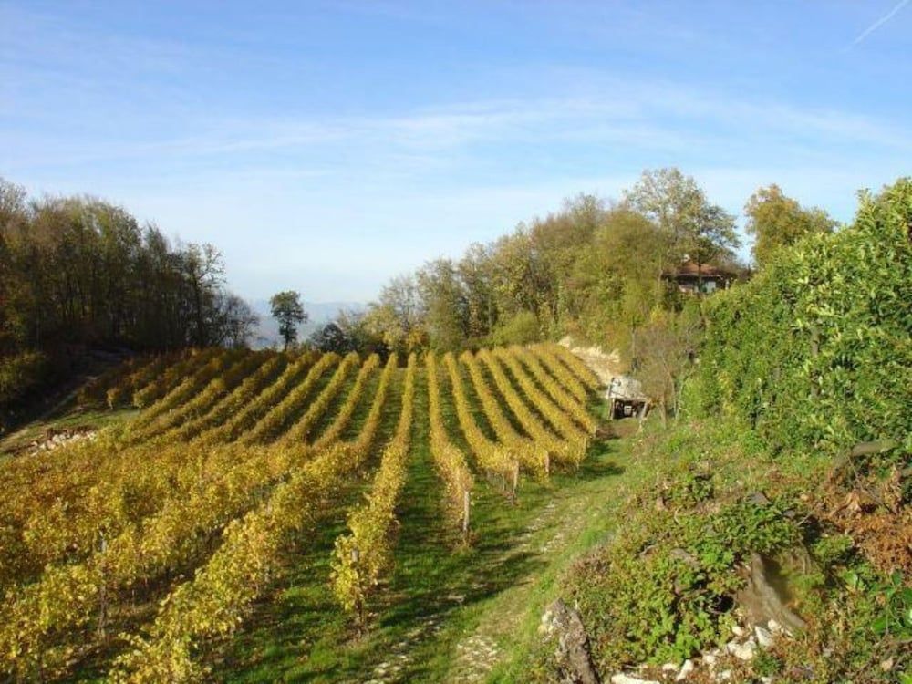 Tenuta Maraveja