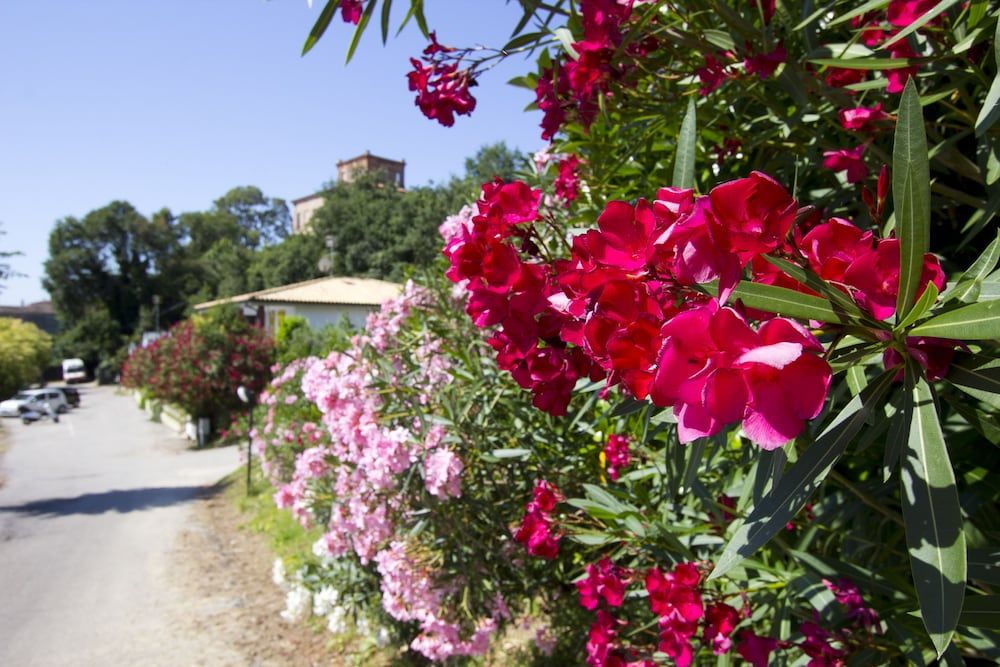 B&B Valle dell'Eden