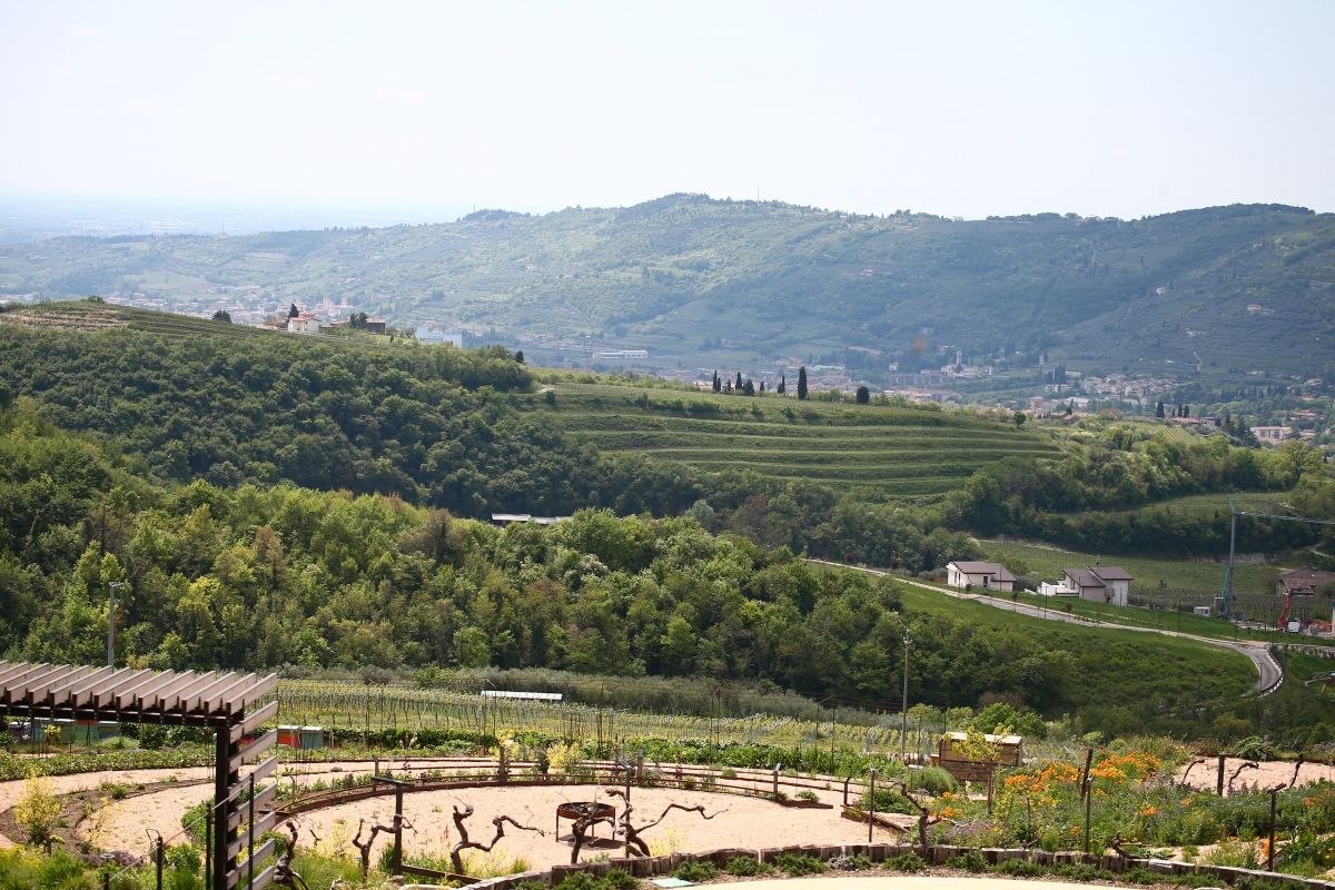 Villa Balis Crema