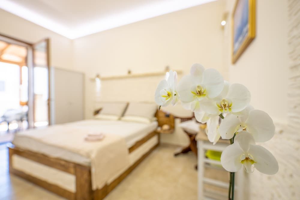 B&B Pilella