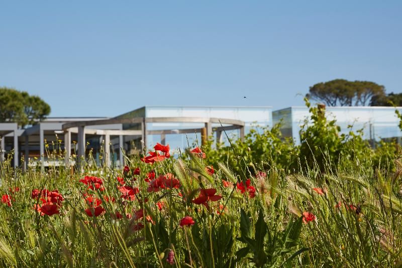 Domaine de Verchant