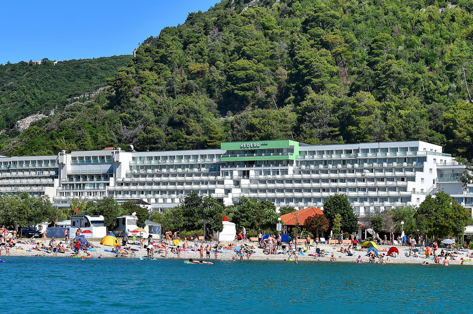 Hedera Hotel