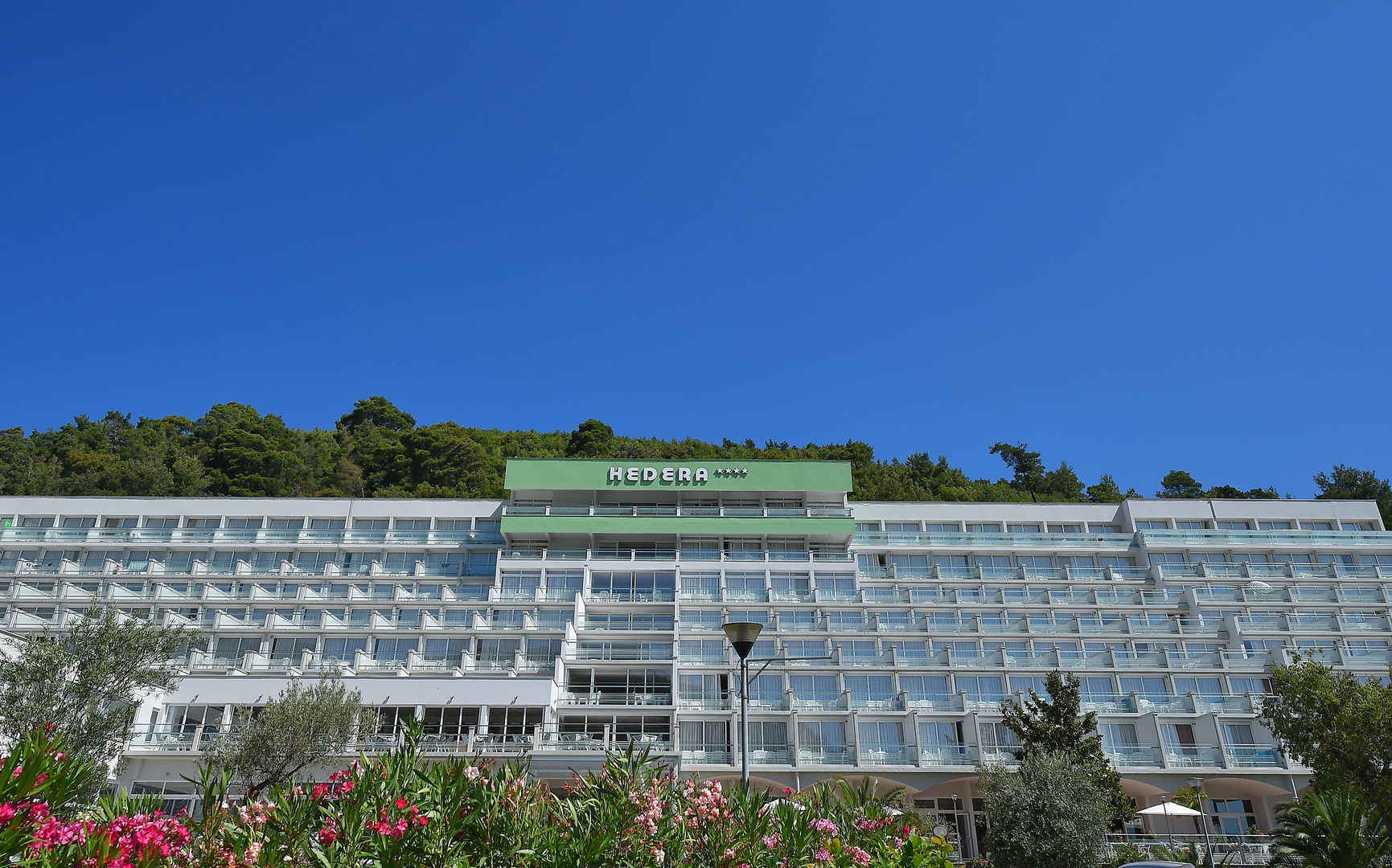 Hedera Hotel
