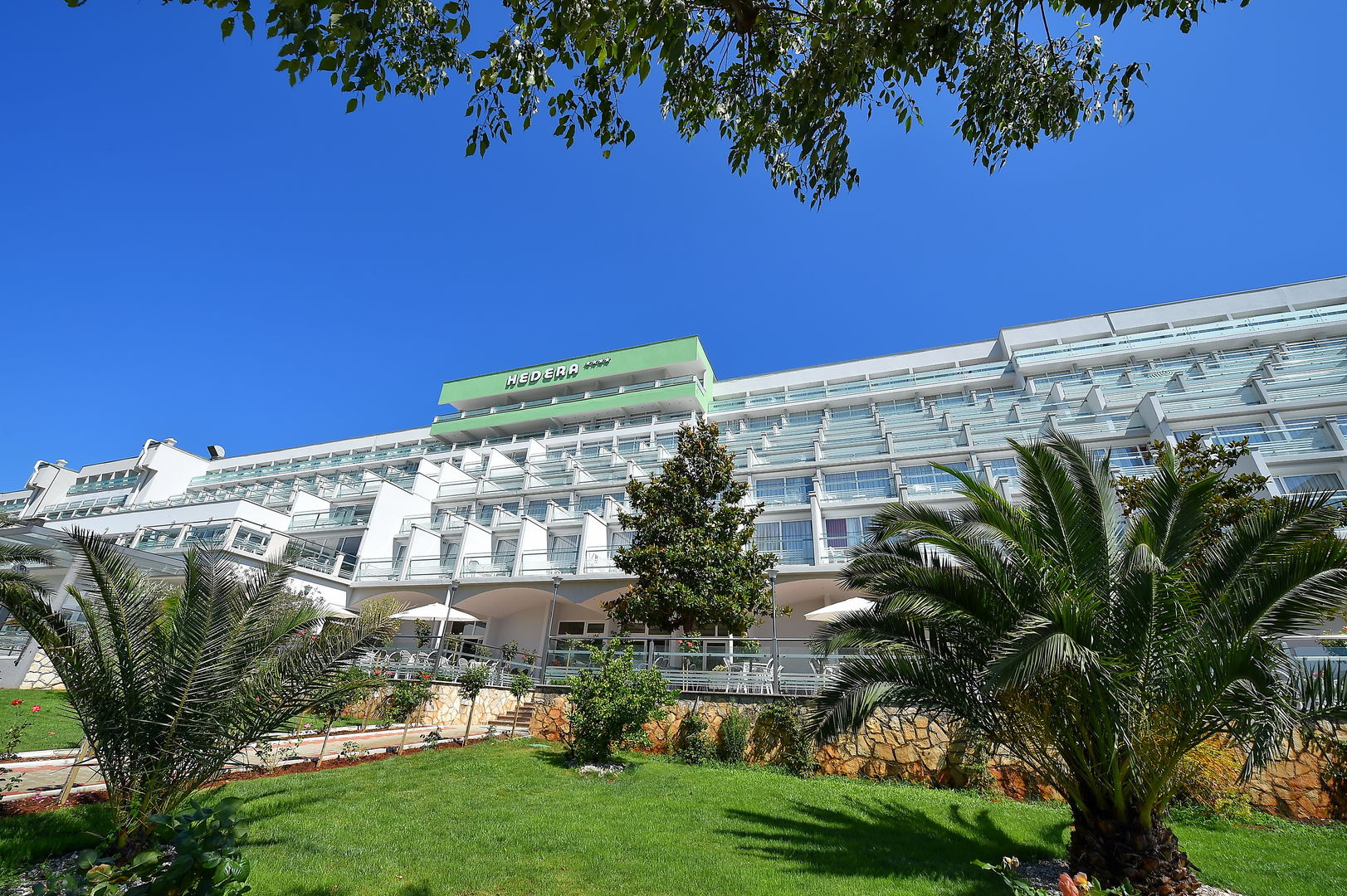 Hedera Hotel