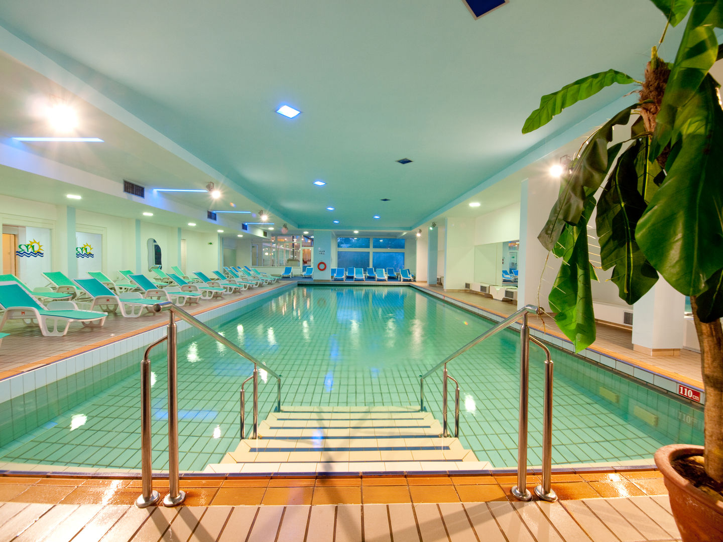 Hedera Hotel