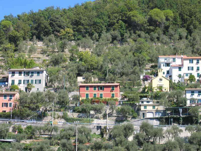 Agriturismo Cerisola 2003