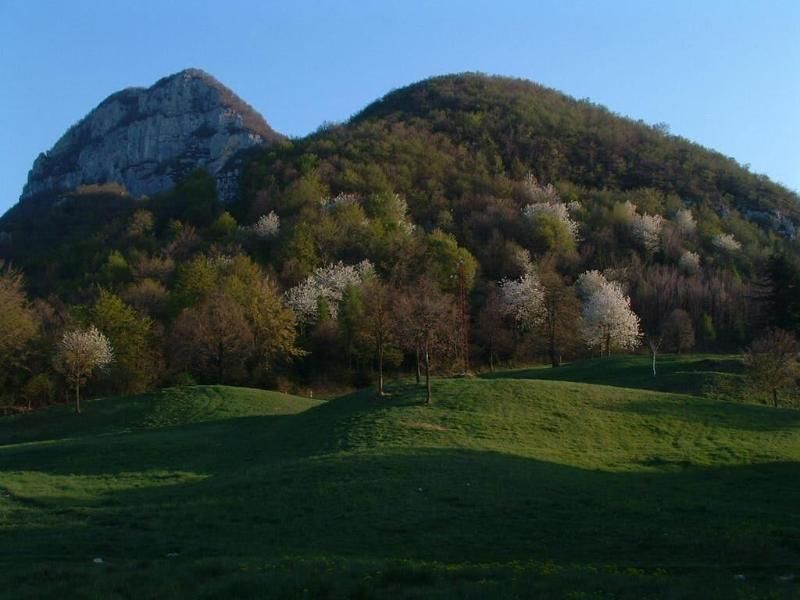 Agriturismo Malga Riondera