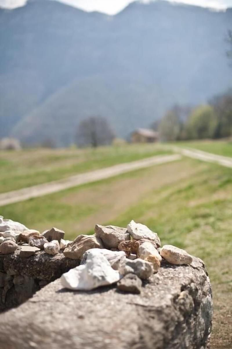 Agriturismo Malga Riondera