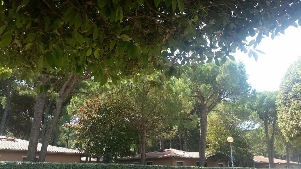 Sole