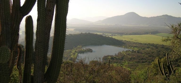 Hacienda Los Lingues Chile