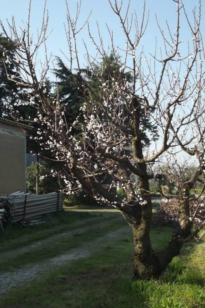 Agriturismo Esposito