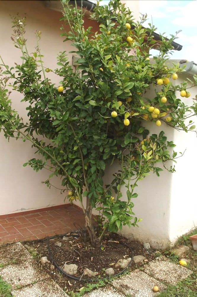 Agriturismo Esposito