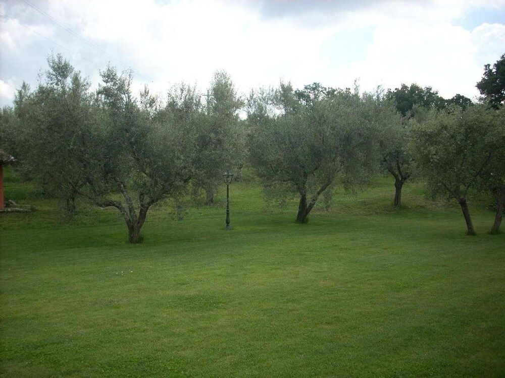 Forum Cassii