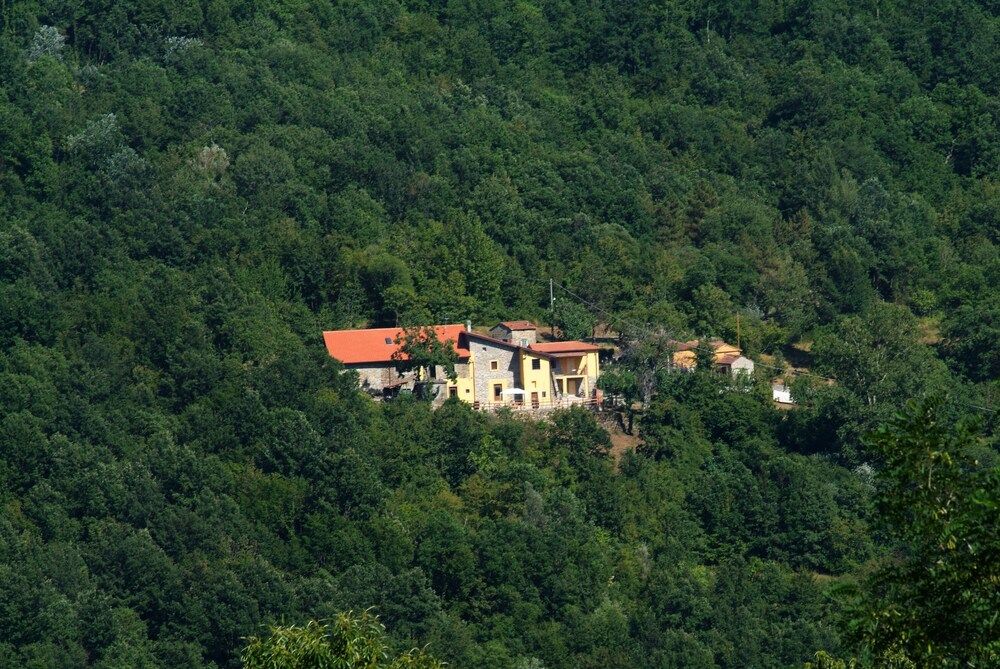 Bed and Breakfast Podere Bramapane