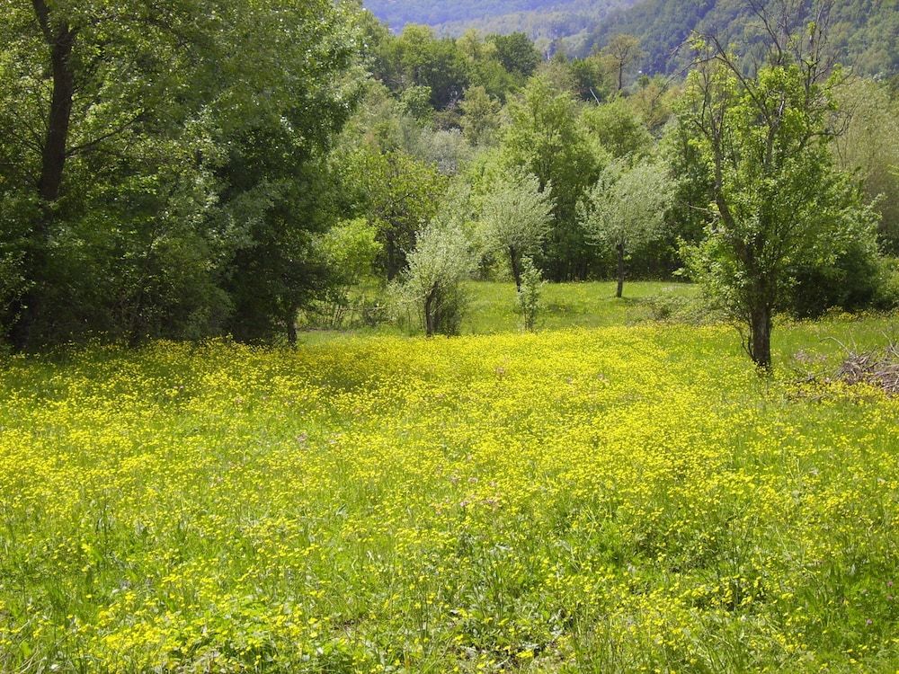 Bed and Breakfast Podere Bramapane