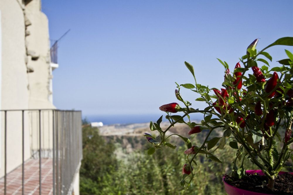 B & B Stillachiara
