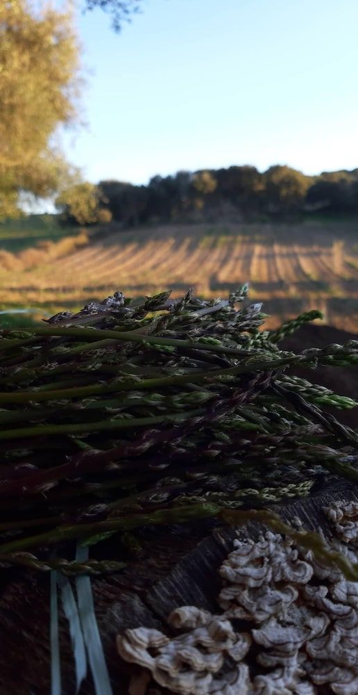 Agriturismo Muzzu