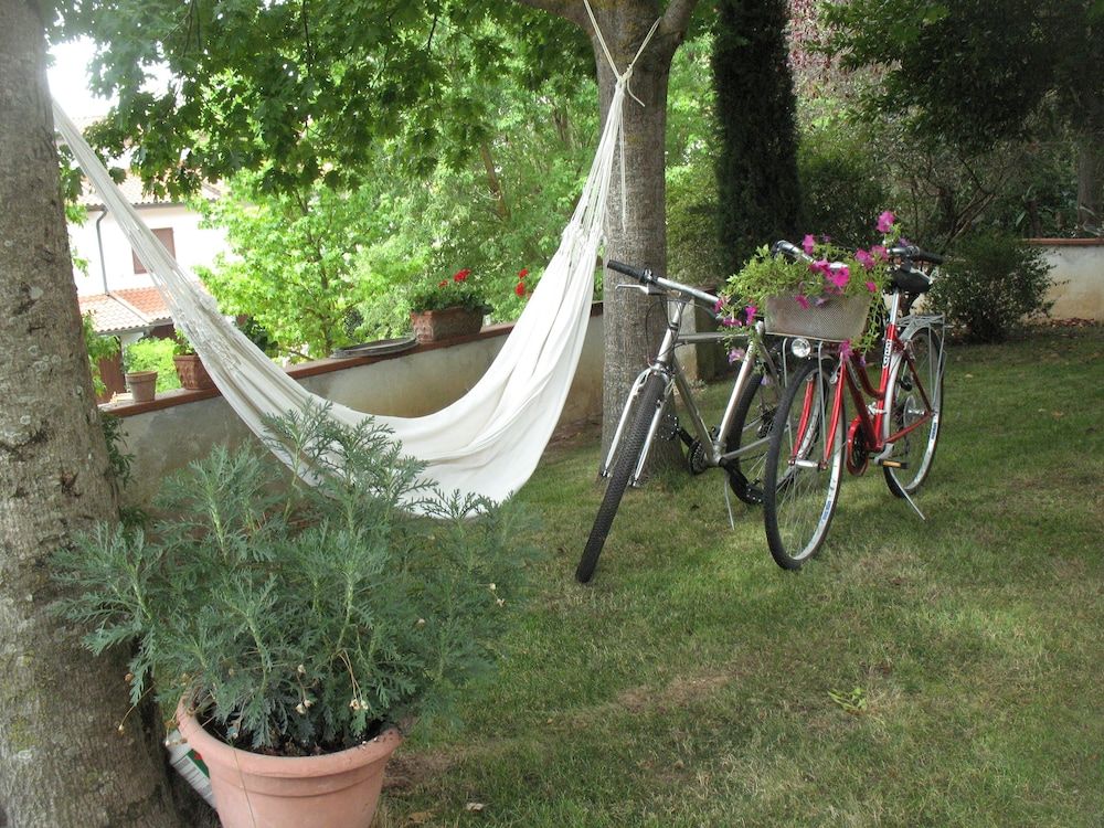 Il Cipresso