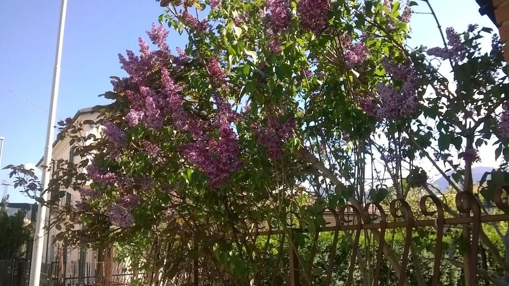 B&B La Magnolia