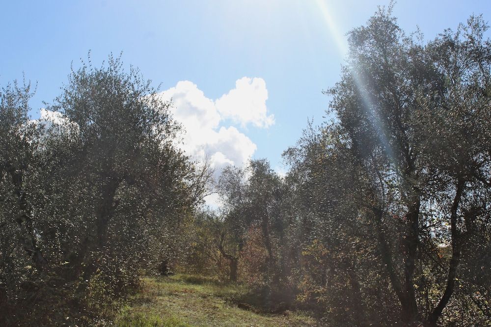 Agriturismo Due Comuni