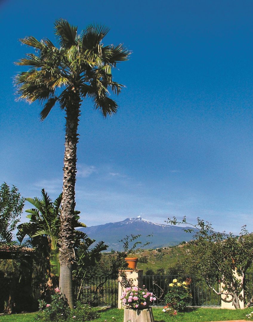 Excelsior Palace Hotel