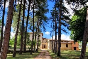 Borgo Dei Pini Villa