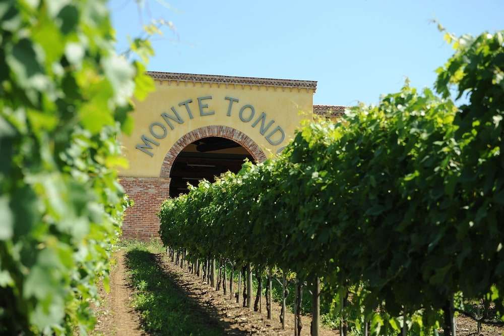 Monte Tondo B&B