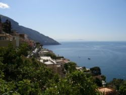 Il Pettirosso