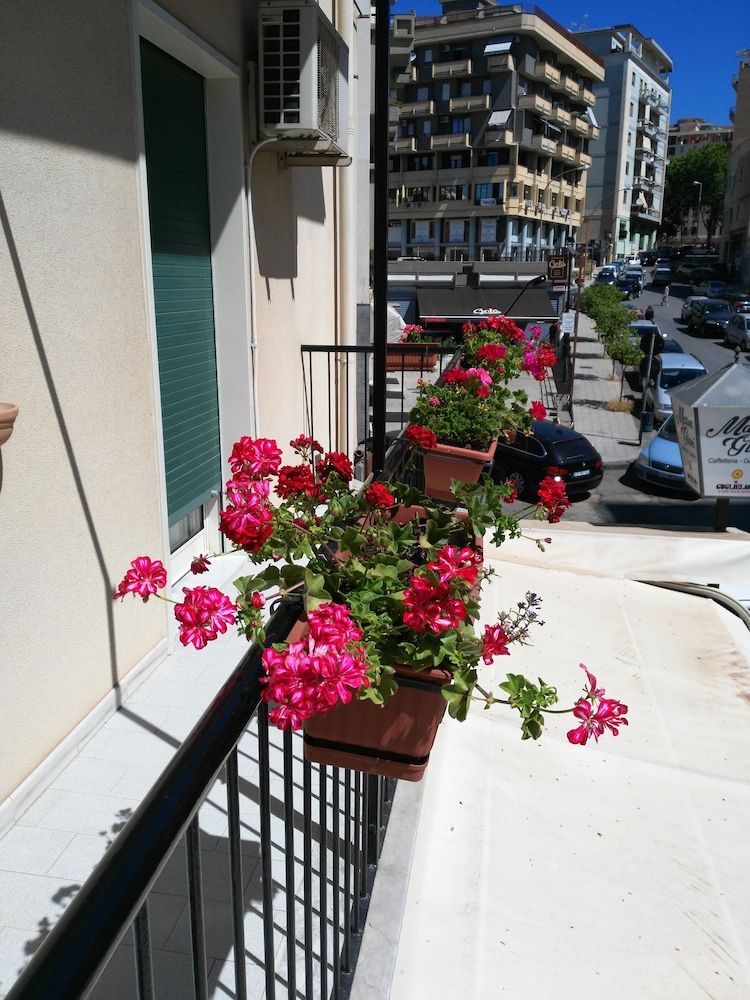 B&B Palmintelli