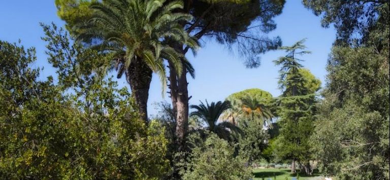 Villa Arditi