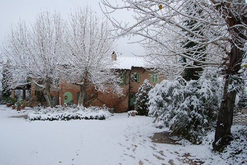 Tenuta Il Pino