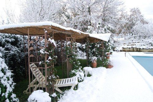 Tenuta Il Pino