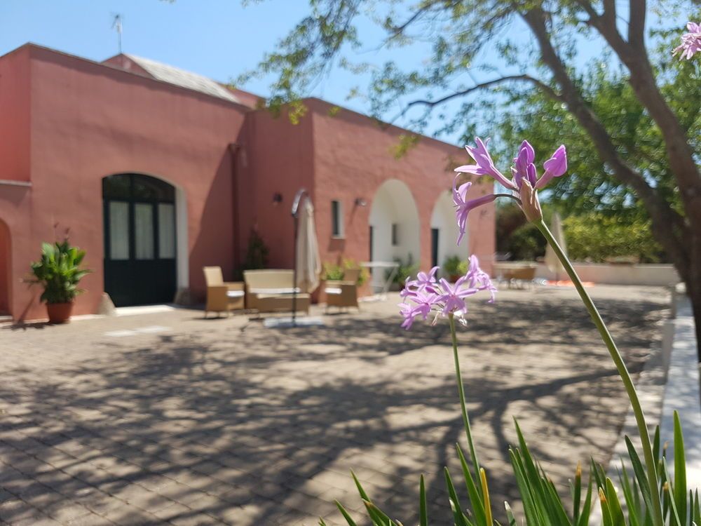 Tenuta Doxi