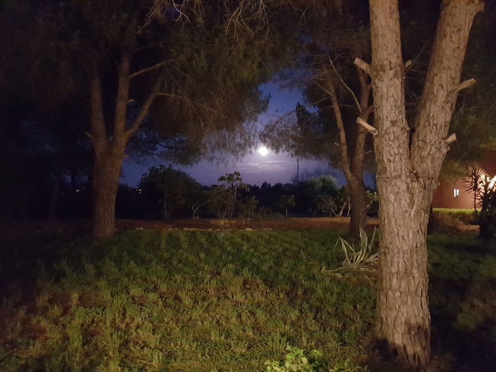 Tenuta Doxi