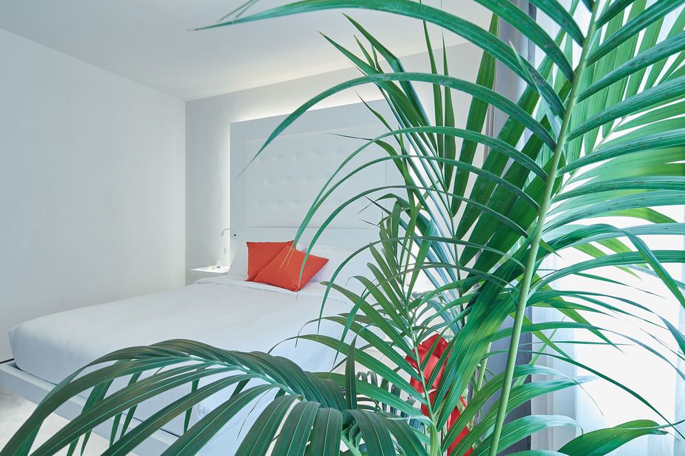 B&B Via Roma 25