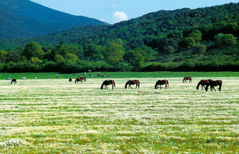 Agriturismo La Pulledraia del Podere Montegrappa