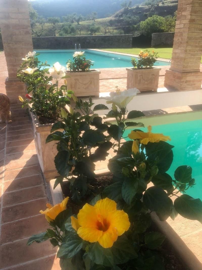 Farm House Villa Fibbino