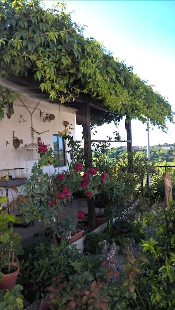 Il Grappolo