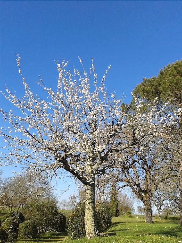Agriturismo Il Cornalino